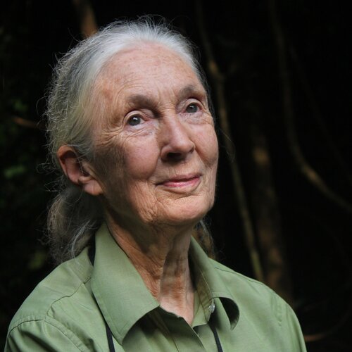 Dr. Jane Goodall